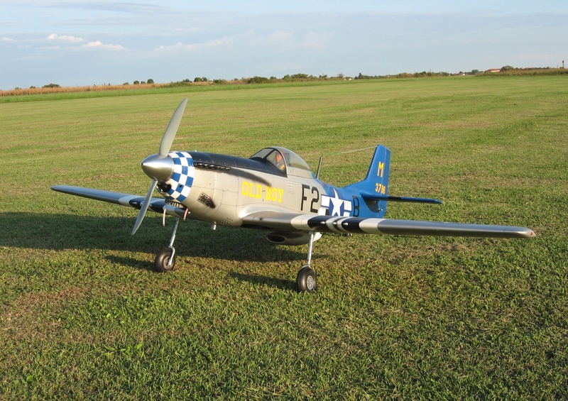 P51D Mustang