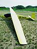 Vintage Glider Meeting a Pavullo-d1000040.jpg