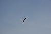Aliante acrobatico: BHYON G-66-C-img_9095.jpg