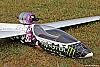 Il mio primo motoaliante : Jet Stingray 3 Monster Energy 2014-10399433_10202885733439342_2229076430854721344_n.jpg