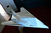 F-117 stealth-p1100291.jpg