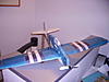 wildcat-pict0304.jpg