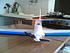 Ultima realizzazione: West Wings Fournier RF4-foto-3.jpg