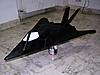 F117 Stealth-p2050061.jpg