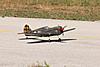 Curtiss P-40 Nick Ziroli-dsc_3219.jpg