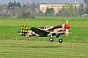 Curtiss P-40 Nick Ziroli-p40m2.jpg