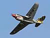 Curtiss P-40 Nick Ziroli-p40-aerbi_3.jpg