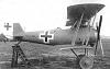 Stringa alfanumerica dipinta a mano per ww1-pfalz-dviii-6c36235c-3f20-4314-9846-e336306d2b0-resize-750.jpeg