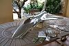 f-16 bvm-dscf0688.jpg