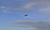 mig 15 top gun-image124.jpg