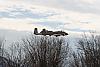 GWS A-10 Warthog Help-img_3677.jpg