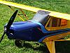 Building Log Extra 300 MidWing 118" by Carden-dscf6663.jpg