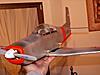 Pilatus P3-p3-02.jpg