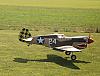 P51 Turnigy 26cc e decollo-p40landing.jpg