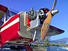 Taylorcraft 450 glow-taylo3.jpg