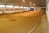 Pista "fioroni" Indoor 1/8 & 1/10 Ep Gropello Cairoli (pv)-13645023.jpg