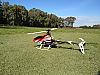 Club E-flite Blade 300x-img_1490.jpg