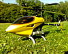 Il raptor si spegne in volo!!-kopie-von-dsc00377.jpg