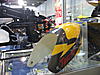 T-rex 700 a Verona-dscf0997.jpg