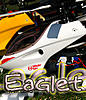 Eagle 3d RTF -TECNICA SETTAGGI --eaglet.jpg