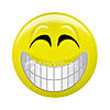 Elenco venditori on-line e loro valutazione-ist2_437828_giant_smiley_big_smile.jpg