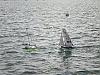 Regata footy a Genova il 16 febbraio 2014-federico-foto-033.jpg