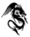 L'avatar di black dragon