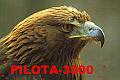 L'avatar di PILOTA-3000