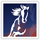 L'avatar di cavallofurioso